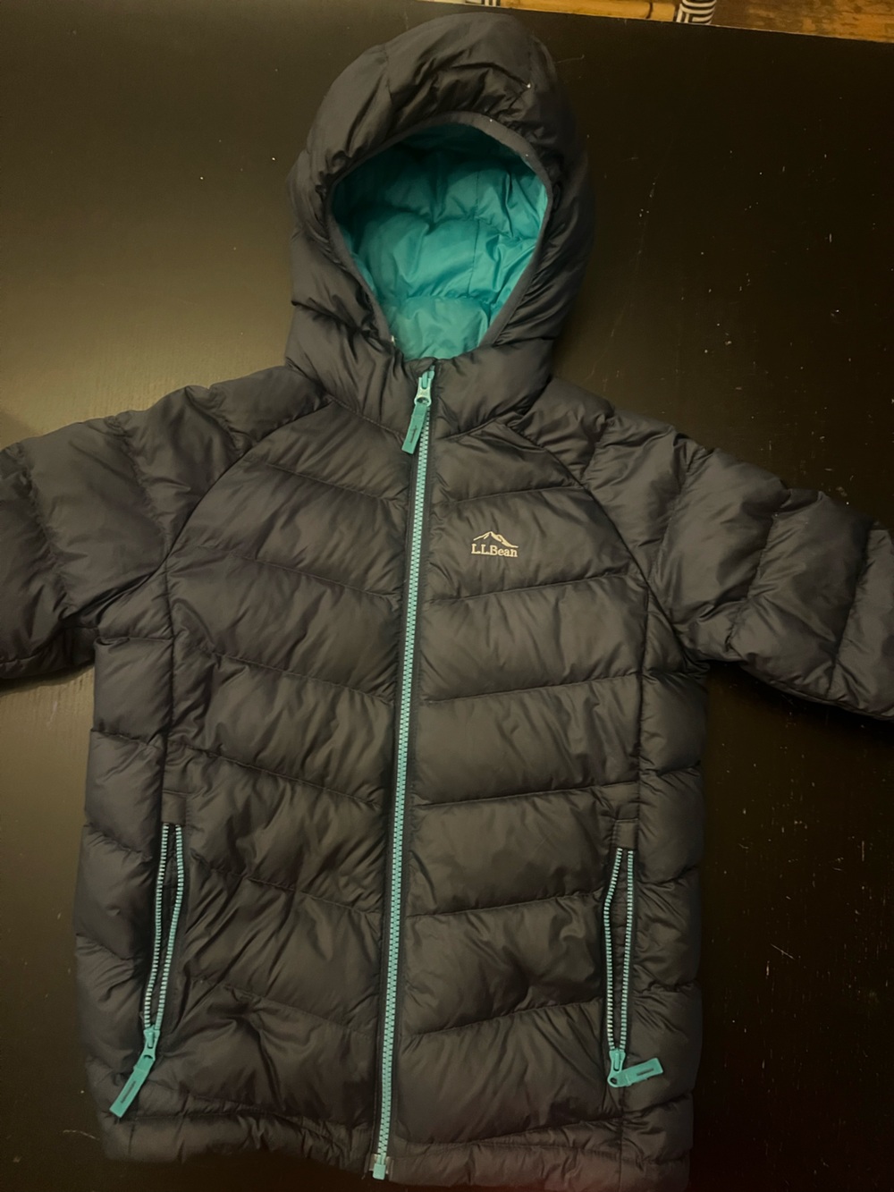 L.L. Bean Navy Kids' Puffer Jacket with Teal Trim